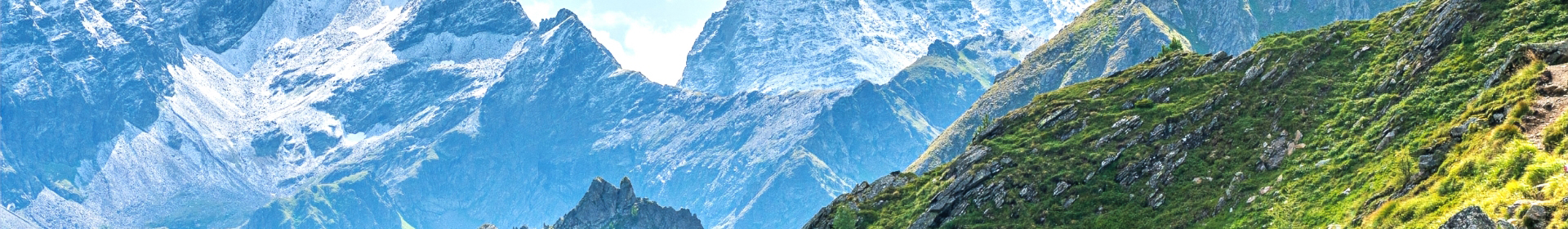 banner img